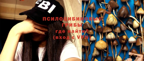 мет Медвежьегорск