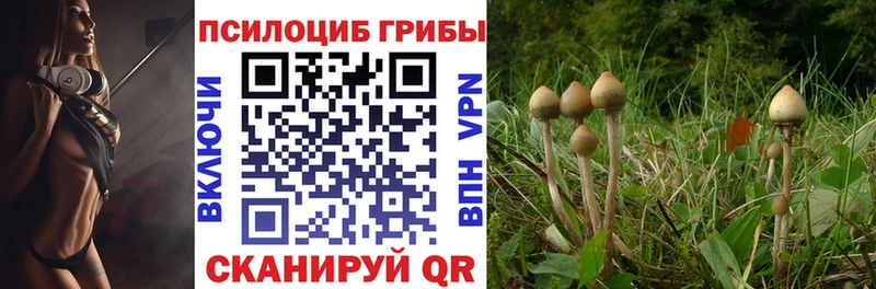 Купить где  Нарьян-Мар  Псилоцибиновые грибы MAGIC MUSHROOMS 